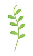 Fototapeta na wymiar leaves with stem
