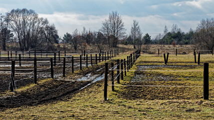 Fototapeta na wymiar Fenced pasture at countryside.