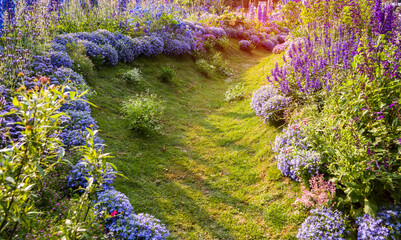 path leading through a flower garden with delphinium high inflorescences violet flowers.