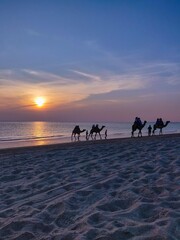 Fototapeta na wymiar camel safari on the beach