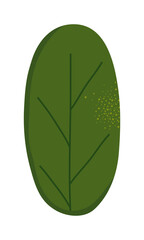 round green leaf