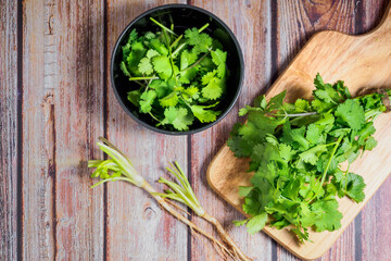 Fresh coriander leaves on wooden background. Organic seasoning vegetable