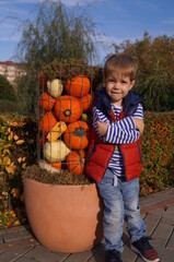child and pumpkins