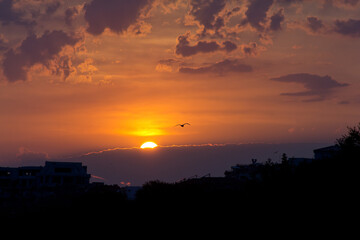 Sunset with the bird in front and sun almost hidden behind the clouds during summer in Sveti Vlas, Bulgaria