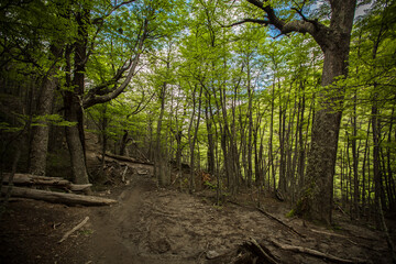 Obraz premium Torres del Paine National Park, Chile 