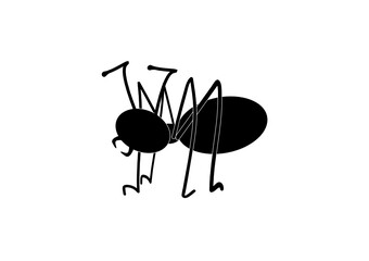 Ant