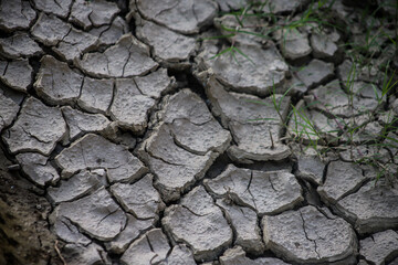DROUGHT EROSIONED EARTH WITH CUTTING TEXTURE