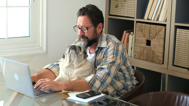 Portrait of man and dog working together at home with laptop computer - concept of free smart work lifestyle people - caucasian typing on keyboard at workstation - modern online job business digital