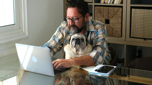 Hipster man with beard work at home on laptop computer and internet connection with his friend old dog together at the desktop - office home smart working new lifestyle for modern people