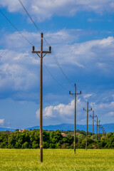 Fototapeta na wymiar old electric wooden poles in the field