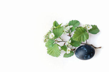 Easter composition: painted eggs in the style of cosmos and young, blooming, spring twigs on a white background