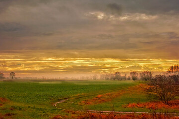Obraz premium sunset over the field