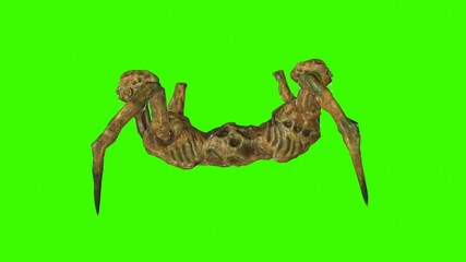 Siamese twins 3d render