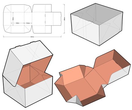 Cake Box and Die-cut Pattern. (Internal measurement 12x12x7 cm). The .eps file is full scale and fully functional. Prepared for real cardboard production.