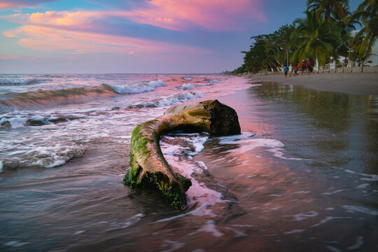 Beautiful Relaxing Pink Sunset At Beach