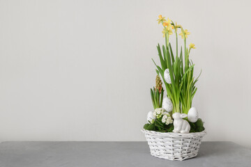 Easter flowers composition with blossom narcissus, hyacinth and organic eggs in white wicker basket. Spring flowering bulbs in a potting. Copy space. Festive greeting card.