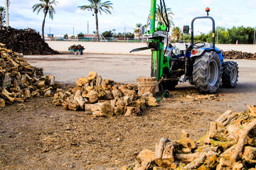 Stacked tree wood logs for sale