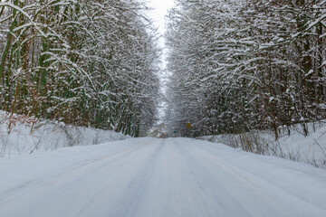 winter road