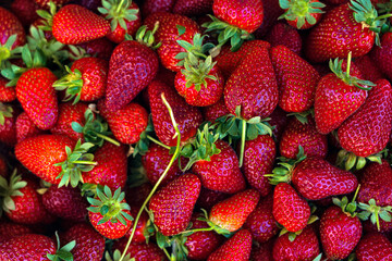 ripe strawberries on the market