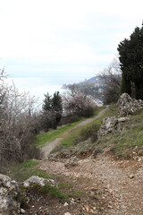 View of hiking trail to Mount Bolgatura