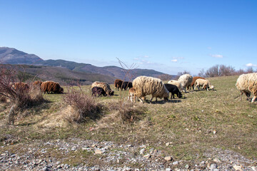 Aerial winter view of Konyavska mountain, Bulgaria