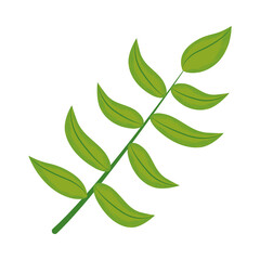 bamboo leaf icon