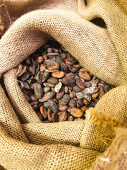 Cocoa beans in a canvas bag close-up.
