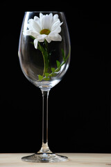 Photos of a flower in a glass
