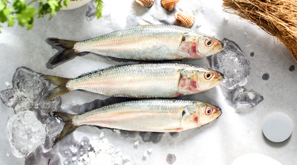 Indian Oil Sardines_ Tarley_ Pedvey