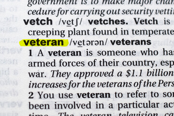 Highlighted word veteran concept and meaning