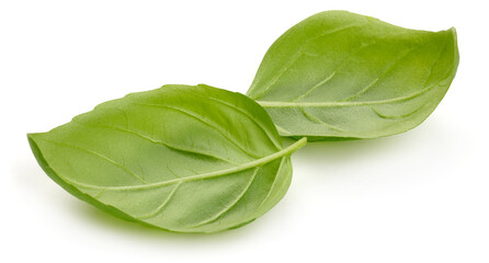 Fresh organic basil leaves, close-up, isolated on white background. High resolution image.