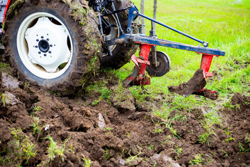 A tractor with a plow plows an agricultural field in spring for planting potatoes. Plowing the...