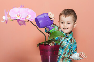 Little boy watered orchid. Gardener taking care of plants