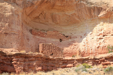Indian ruins in Canyons of the Ancients National Monument, Colorado, USA