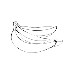 Banana fruit illustration in line art black color isolated on white background