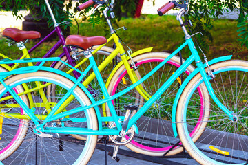 Fototapeta premium Bicycle transport. Row of bikes.