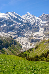 The Swiss Alps at Murren, Switzerland. Jungfrau Region. The valley of Lauterbrunnen from Interlaken.