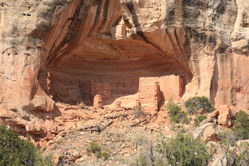 Indian ruins in Canyons of the Ancients National Monument, Colorado, USA