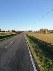 Fototapeta premium dav