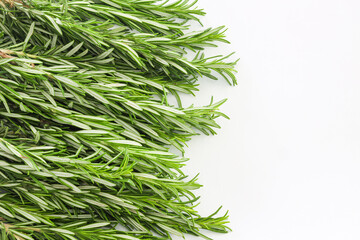 Bunch of fresh green rosemary plants isolated on white background. Copy Space.