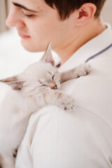 a young man holds a small white kitten and petting him. nevsky masquerade cat.
