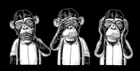 Three wise monkeys. Not see, not hear, not speak. Vintage engraving