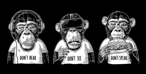 Three wise monkeys. Not see, not hear, not speak. Vintage engraving © MoreVector