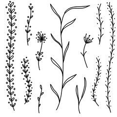 Obraz premium Flowers doodles