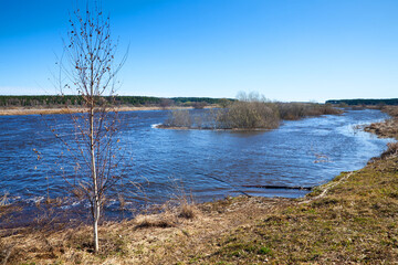 Spring flood,   river overflowed its banks. Sunny spring day.