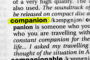 Highlighted word companion concept and meaning