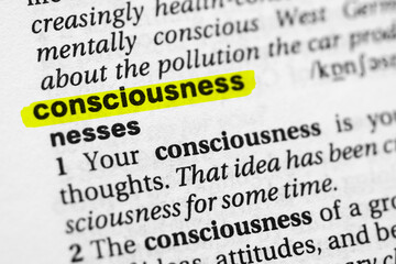 Highlighted word consciousness concept and meaning.