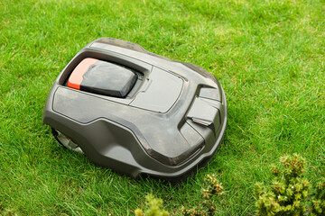 Automatic robot mows the garden lawn.