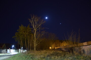 Księżyc i Wenus na nocnym niebie obok drzewa