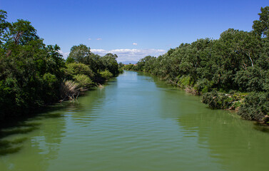 Obraz premium Ombrone river surrounded by greenery. Alberese, Tuscany, Italy. Green waters of the river that flow in the middle of the luxuriant vegetation with the background of blue sky with some white clouds.